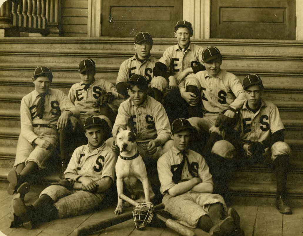 Dog Days at the Baseball Park